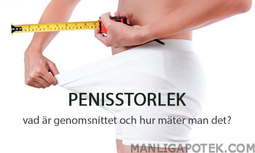 Penisstorlek