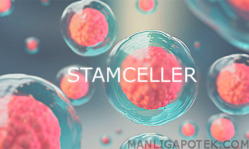 stamcellbehandlingar